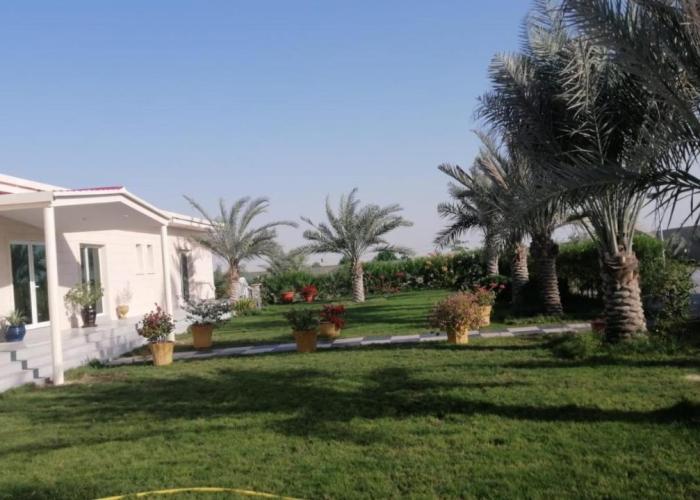 شالية القلوب السعيدة