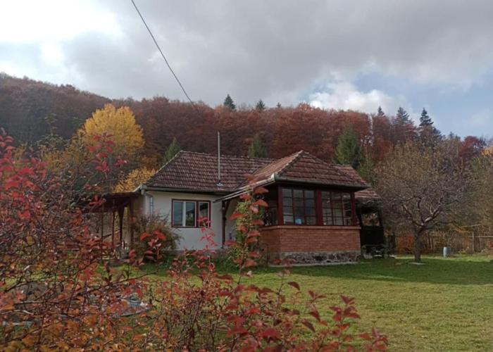 Casa din Săcădat-Szakadáti Vendégház