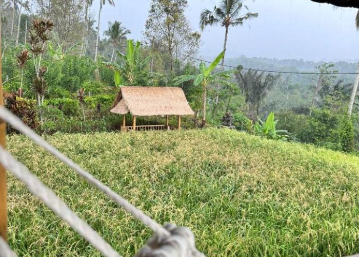 Tengah Uma Villa Sangketan