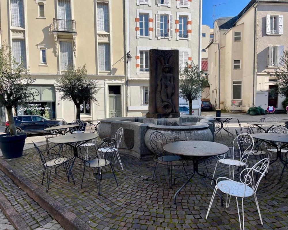 фото Appart'Village Le vieux Vichy centre T1,T2,T3 - Parking - Thermes