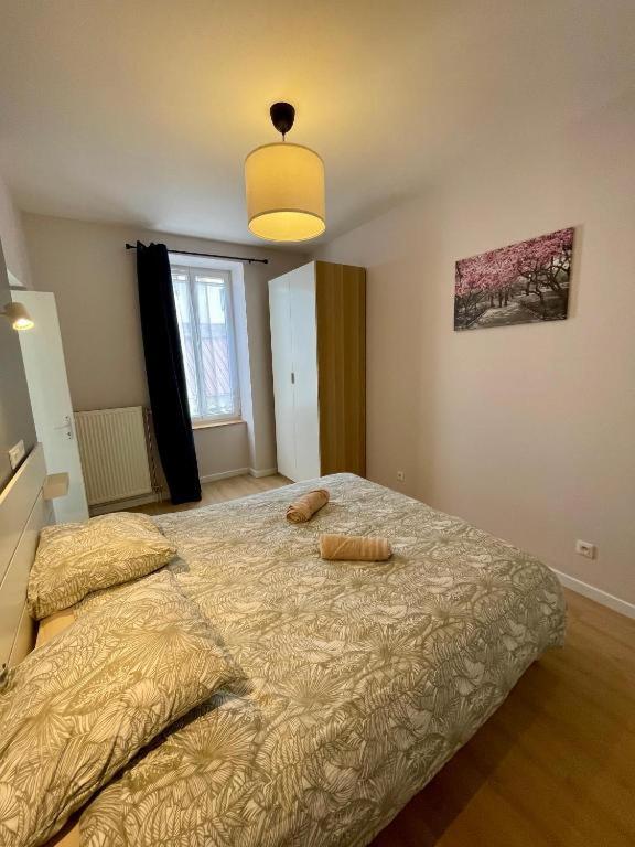 фото Appart'Village Le vieux Vichy centre T1,T2,T3 - Parking - Thermes