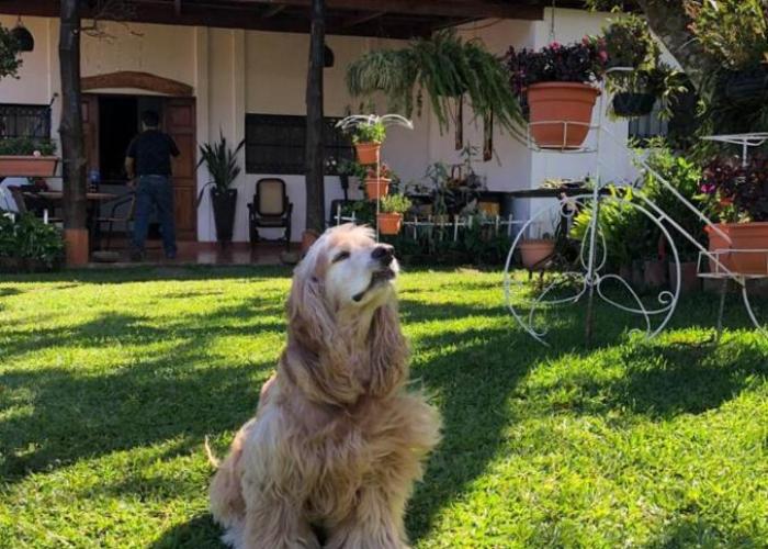 Cabaña Mi Bello Jardín, Privado, Zona Urbana