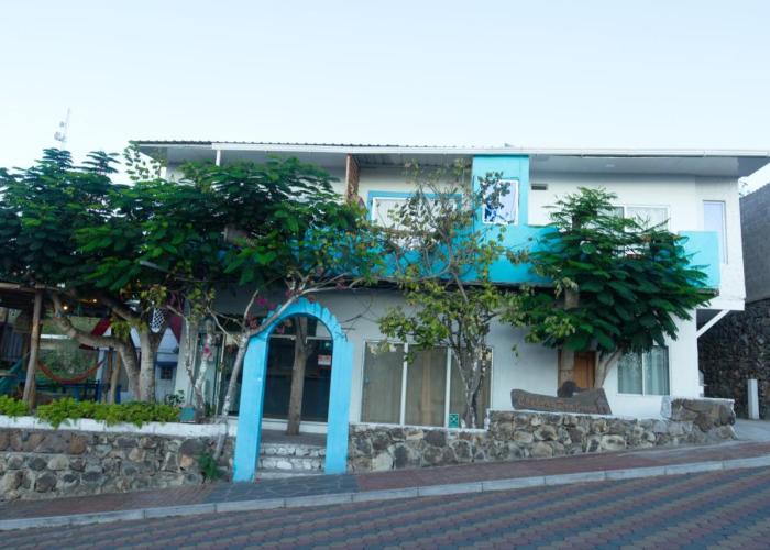 Suite Tierra, Reconnect with your roots