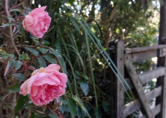 Casa con jardín y parrillero en El Tesoro La Barra