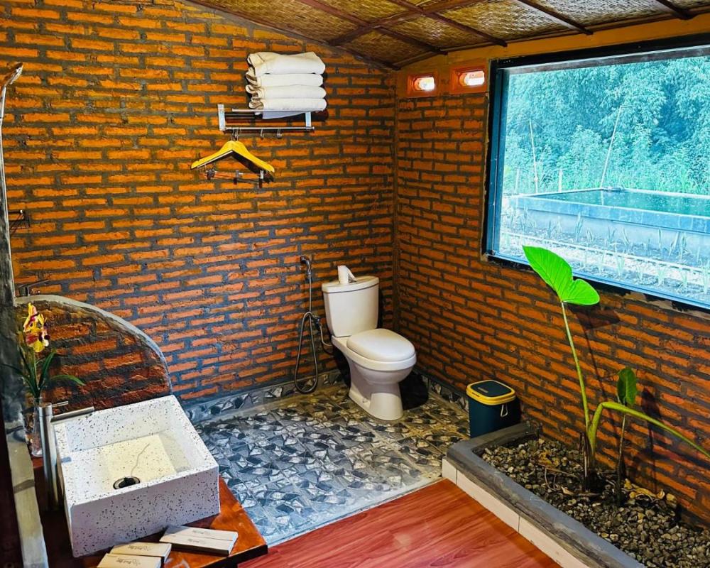 фото Bait Lino