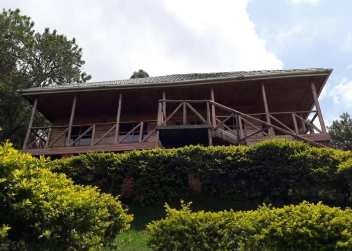 Ruhija Gorilla safari lodge