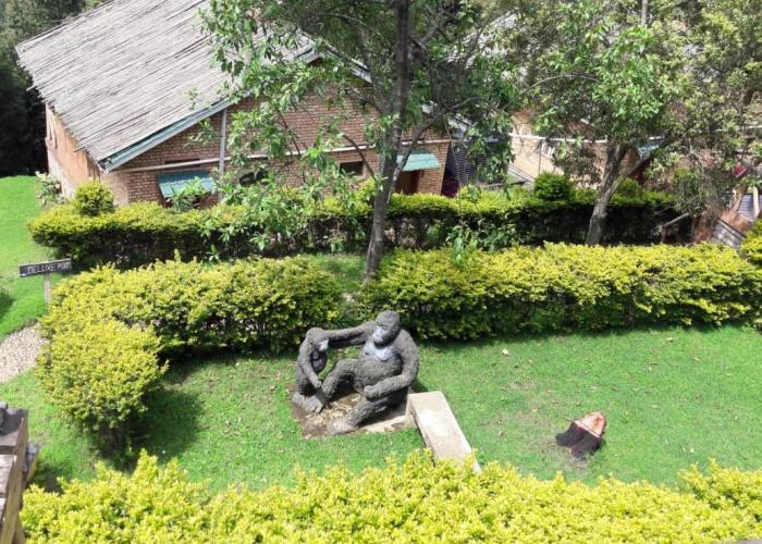 Ruhija Gorilla safari lodge