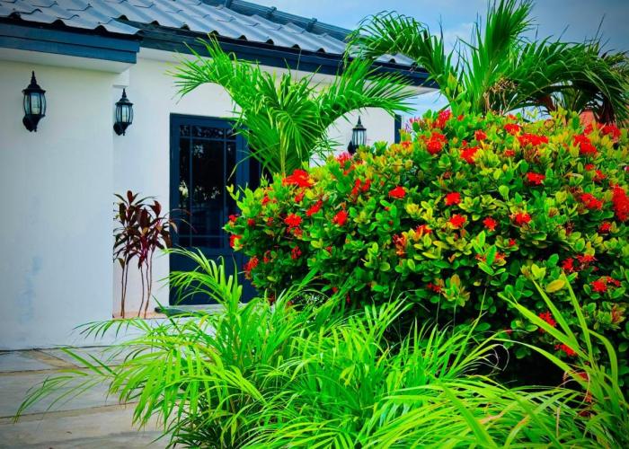 Eagle Stays Aruba-NEW Stunning One Bedroom Apartment Near Eagle Beach!