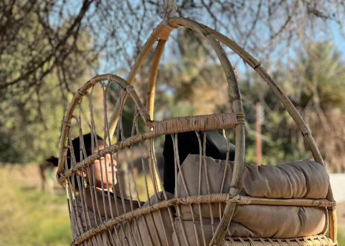 Nala Narty Boutique Hotel & Farm