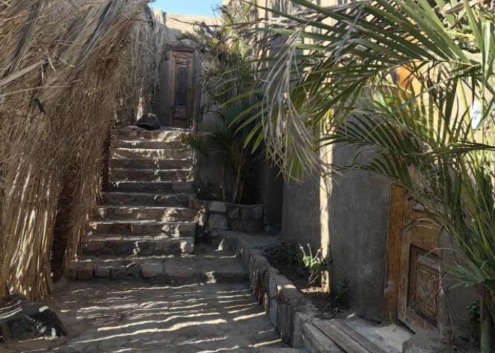 Nala Narty Boutique Hotel & Farm