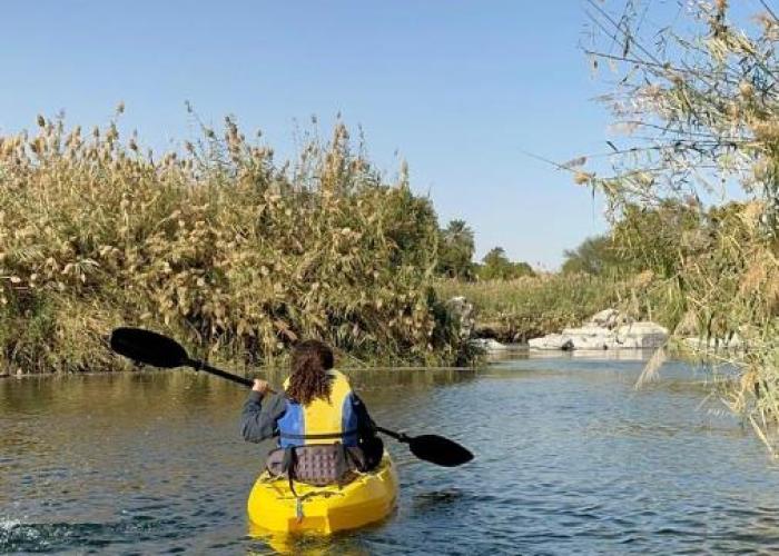Nala Narty Boutique Hotel & Farm