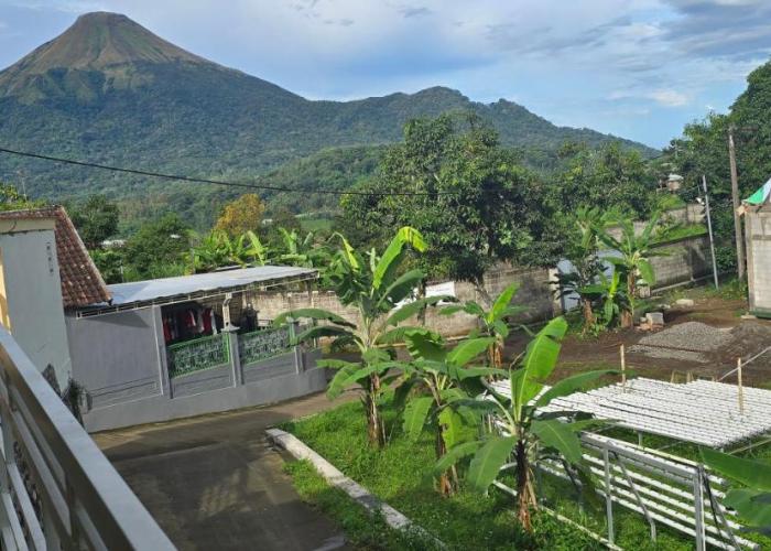 Holi Homestay Trawas