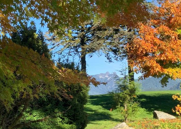 Awesome 2BR in Lynn Valley
