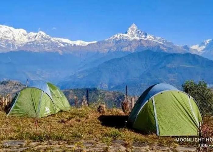 Moonlight Homestay and Camping Site