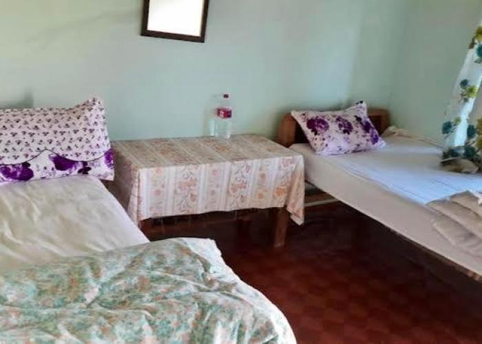 Moonlight Homestay and Camping Site