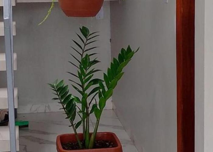 Altos de alter apartamento B