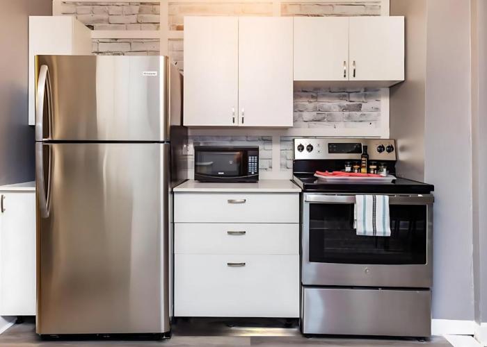 Pet-Friendly 3BR Apartment - Near University & Byward Market