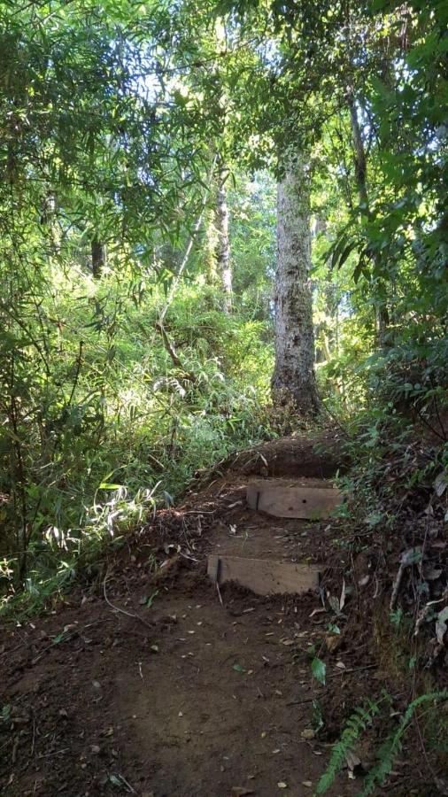 фото Quebrada del Chucao