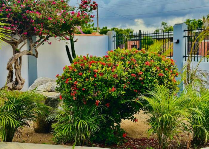 Eagle Stays Aruba-NEW Luxurious One Bedroom Apartment Near Eagle Beach!