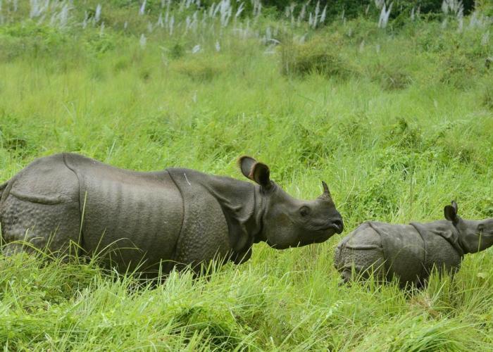 Homestays EcoPark