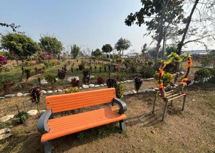 Homestays EcoPark