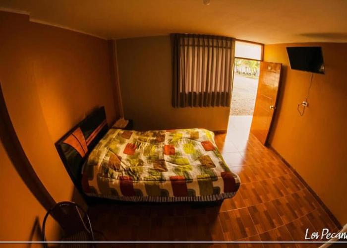 Hotel Los Pecanos