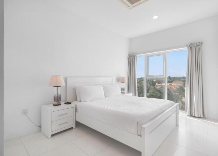 Arubas Life 305