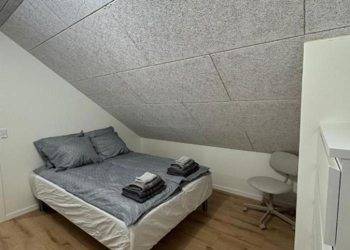 The Wild Swan - Big house with many beds in Odense - Free Parking