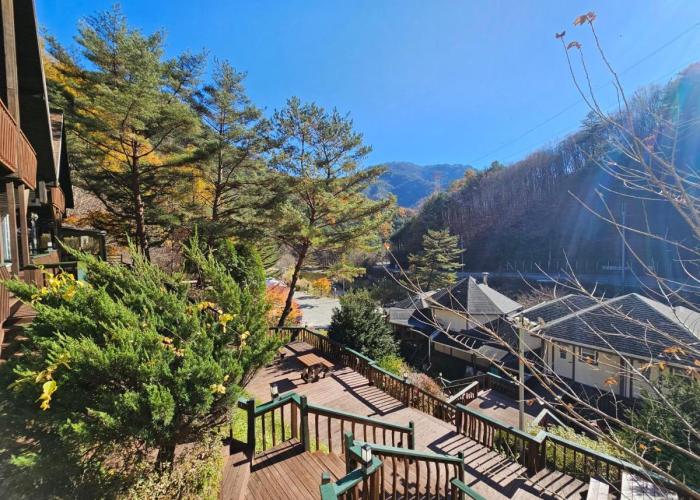 Galaxy X Hotel Type Caravan Glamping & Pension