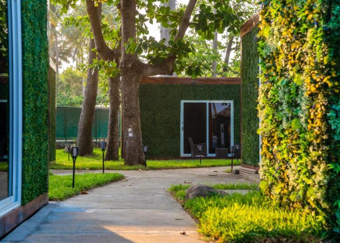 Eco Suites El Zonte