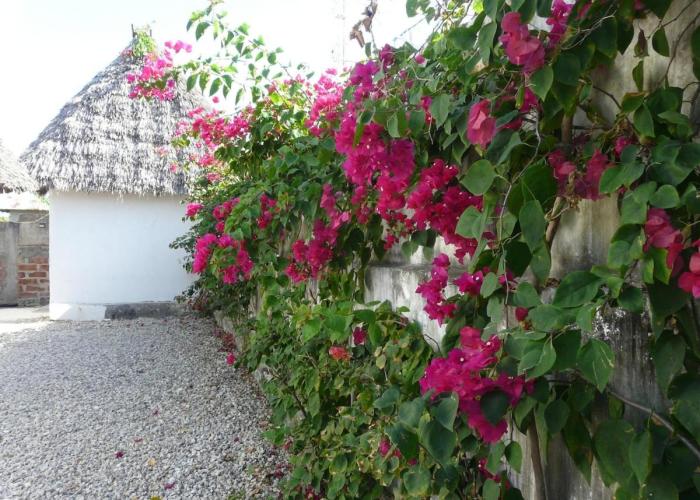 La Casetta a Zanzibar guesthouse italiana