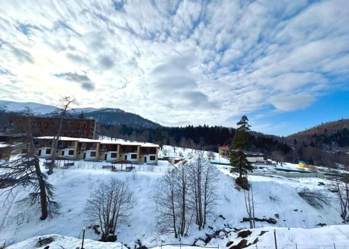 Your Perfect Ski Base in Bakuriani