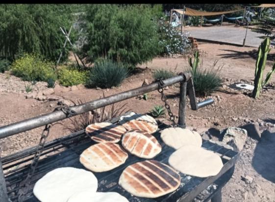 Cabaña colibrí - Casa Campo Elqui