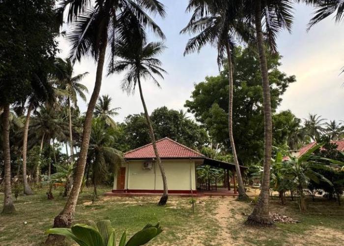 Nature Paradise