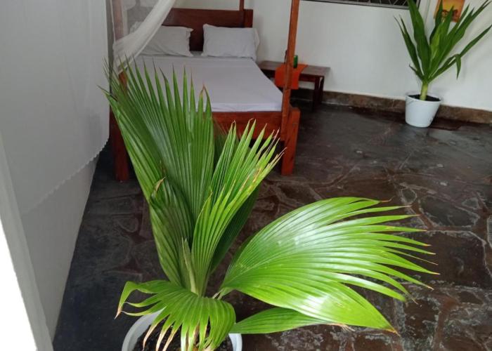Bella Casa Malindi Casuarina