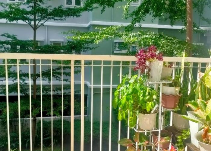 1BR at Trees Residences with Balcony