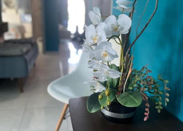 Homestay Axalea