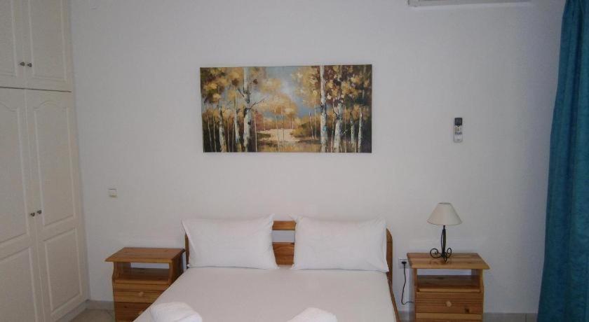 фото Theo House