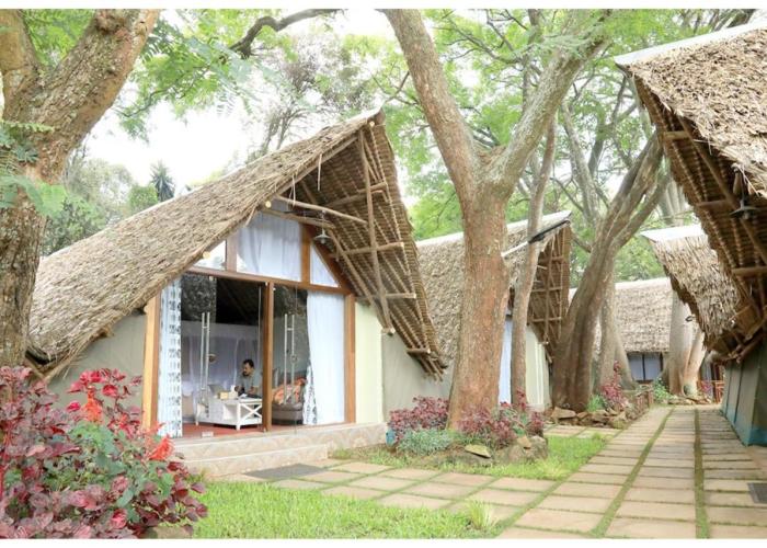 The Giraffe Cottages