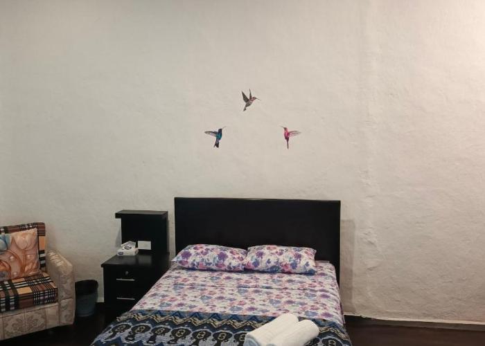 El Renacimiento - Suite Colibrí