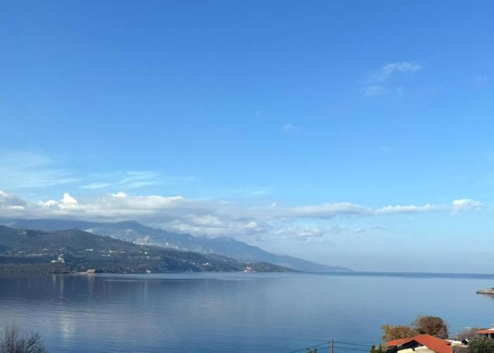 Blue Chameleon Seaview Maisonette