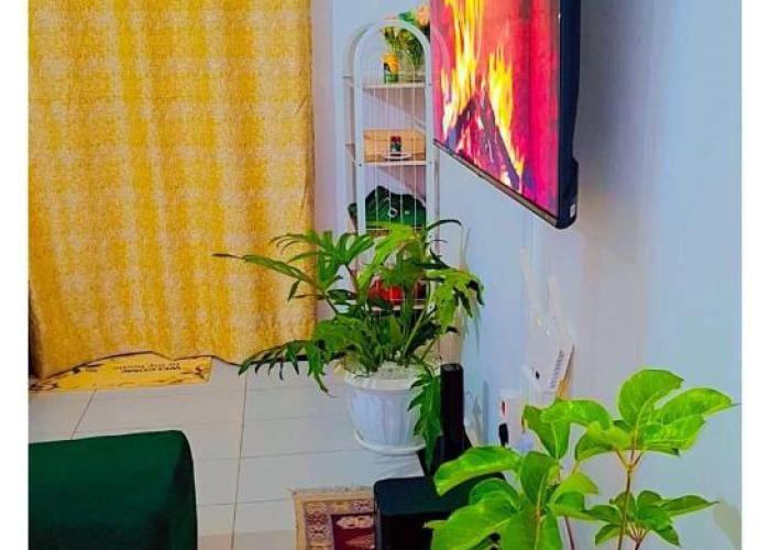 Saffron Homes