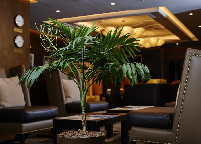 Art HOTEL