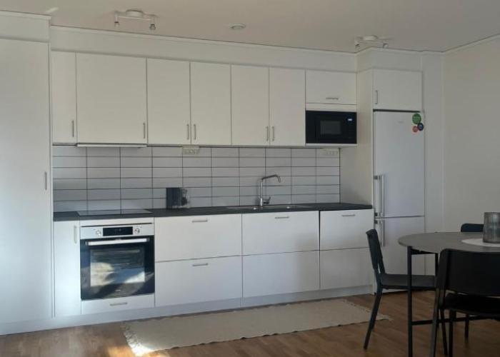 Elme Apartment 1