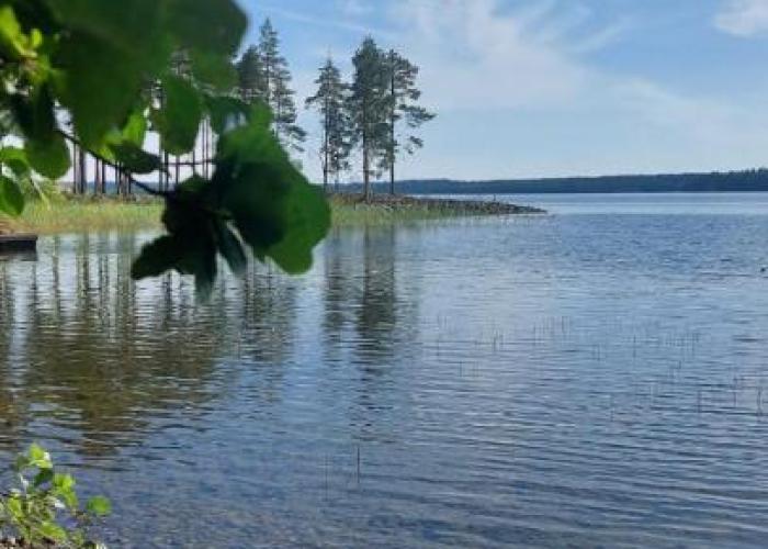 Villa Iltaranta - Cottage on the shore of Lake Saimaaa