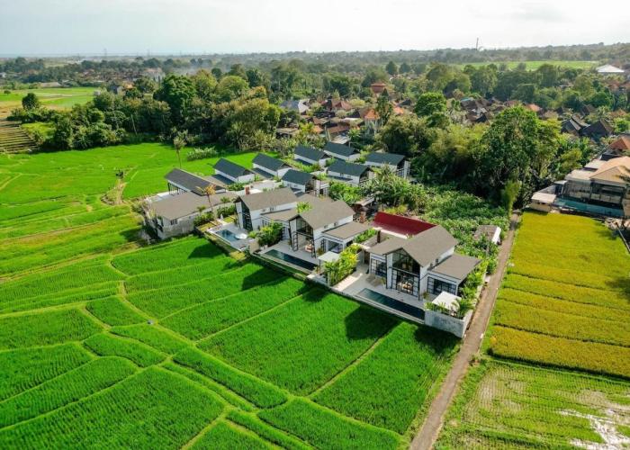 Villa Kura Kura - Tranquil Modern Villa in the Heart of Ricefields