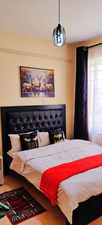 фото Reigns home