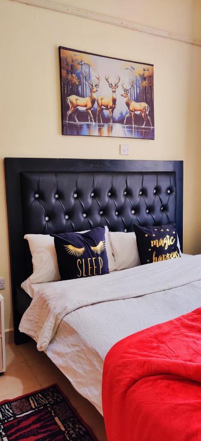 фото Reigns home