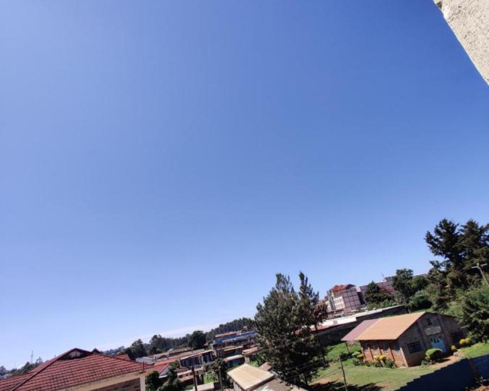 фото Reigns home