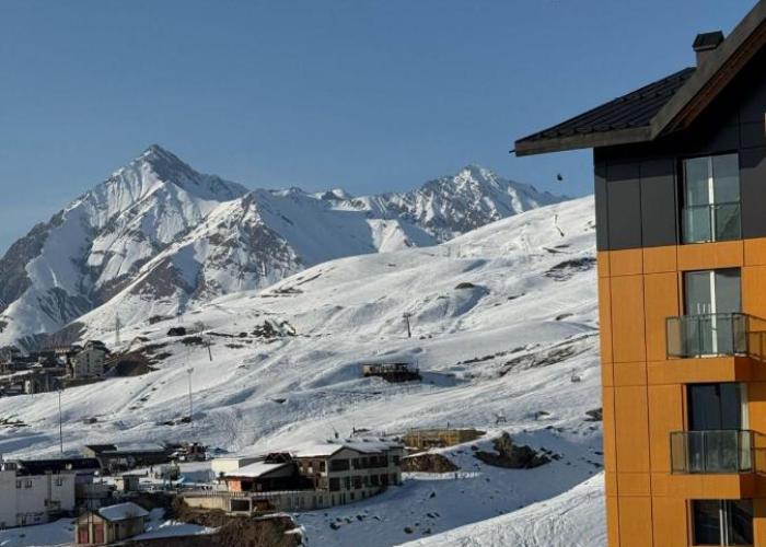 New Gudauri Wood and Snow